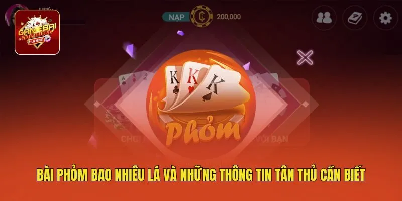 Bài Phỏm Bao Nhiêu Lá Và Những Thông Tin Tân Thủ Cần Biết