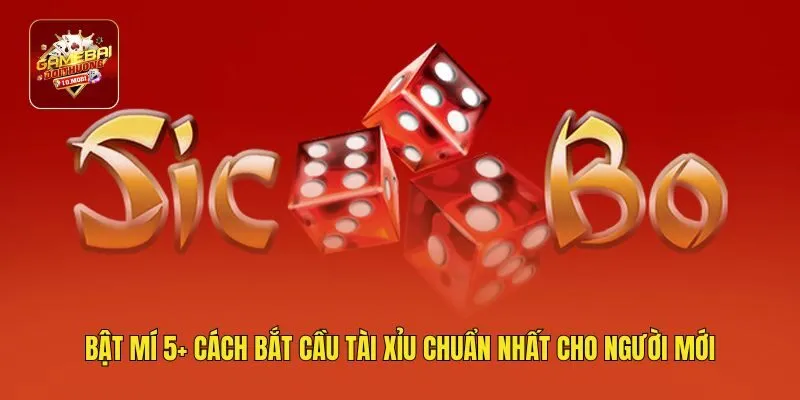 Bật Mí 5+ Cách Bắt Cầu Tài Xỉu Chuẩn Nhất Cho Người Mới