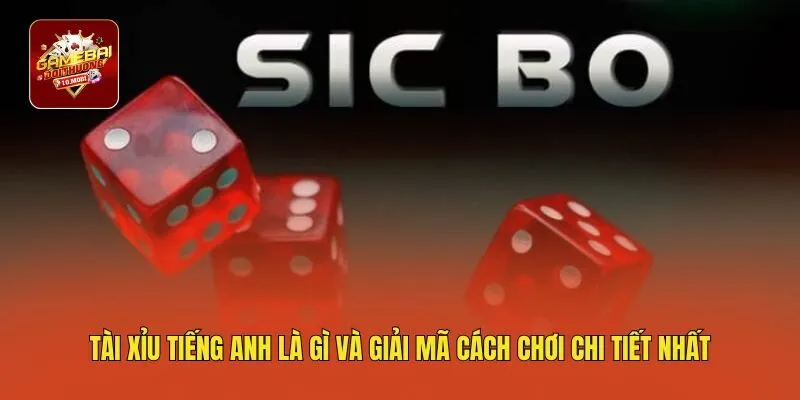 Tài Xỉu Tiếng Anh Là Gì Và Giải Mã Cách Chơi Chi Tiết Nhất